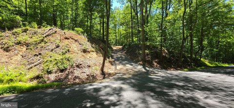 LAND - CULPEPER, VA