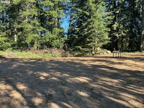 LAND - Washougal, WA