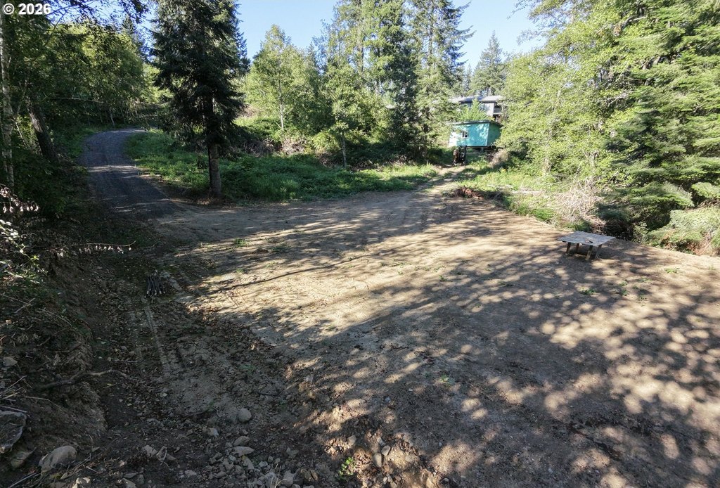 Picture 4