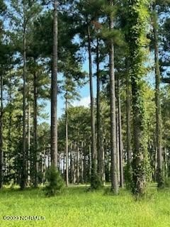 LAND - Oriental, NC