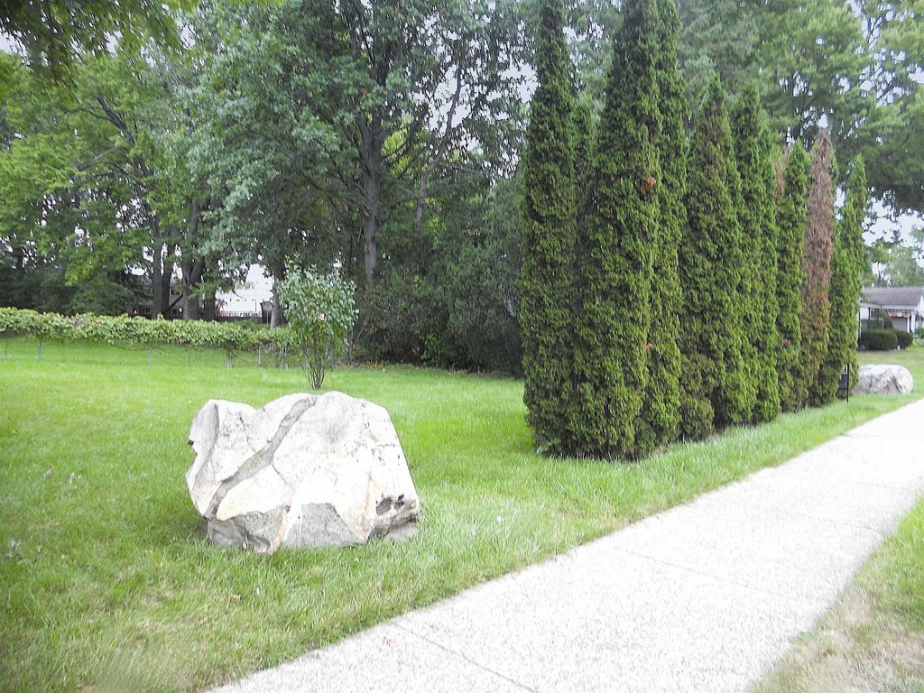 Picture 2