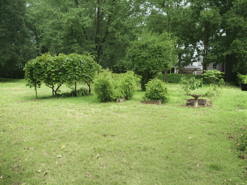 Picture 4