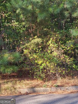 Residential Land in Jonesboro, GA