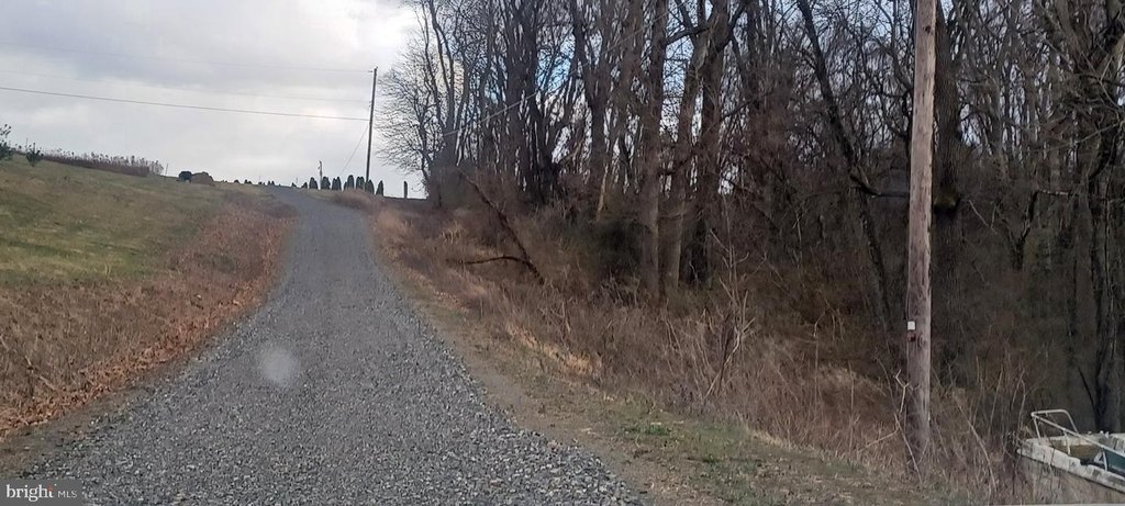 Picture 15
