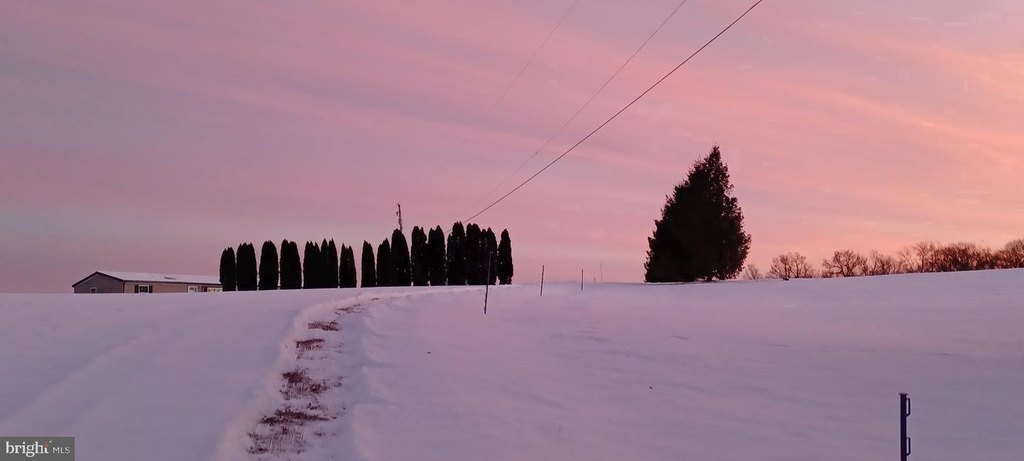Picture 10