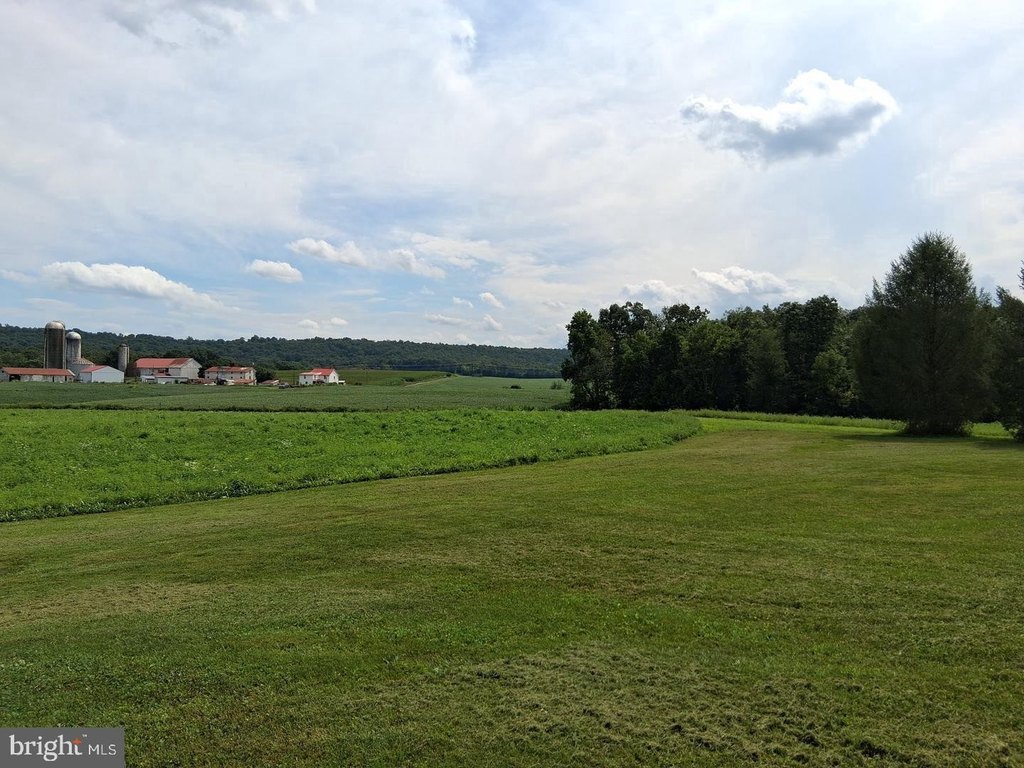 Picture 28