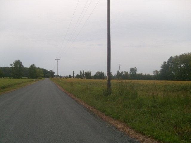 Picture 7