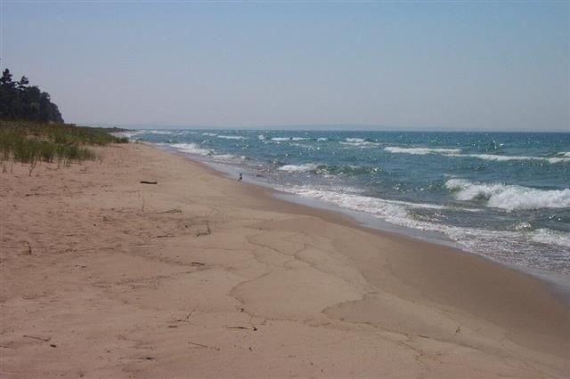 Picture 16