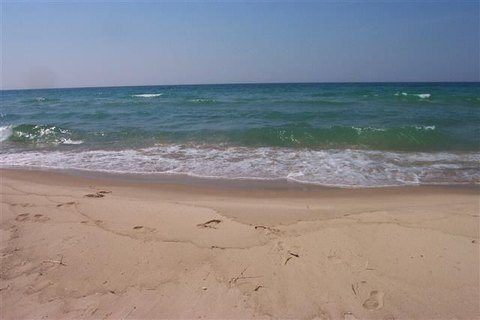 LAND - HARBOR SPRINGS, MI