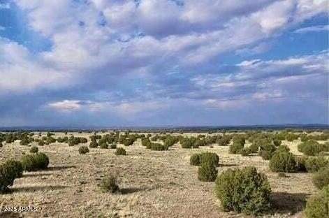 Adamana, AZ 1.25 Acre Lot