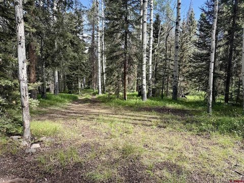 Cimarron, CO