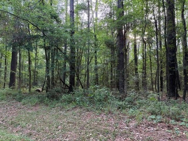 Hemphill, TX Residential Lot