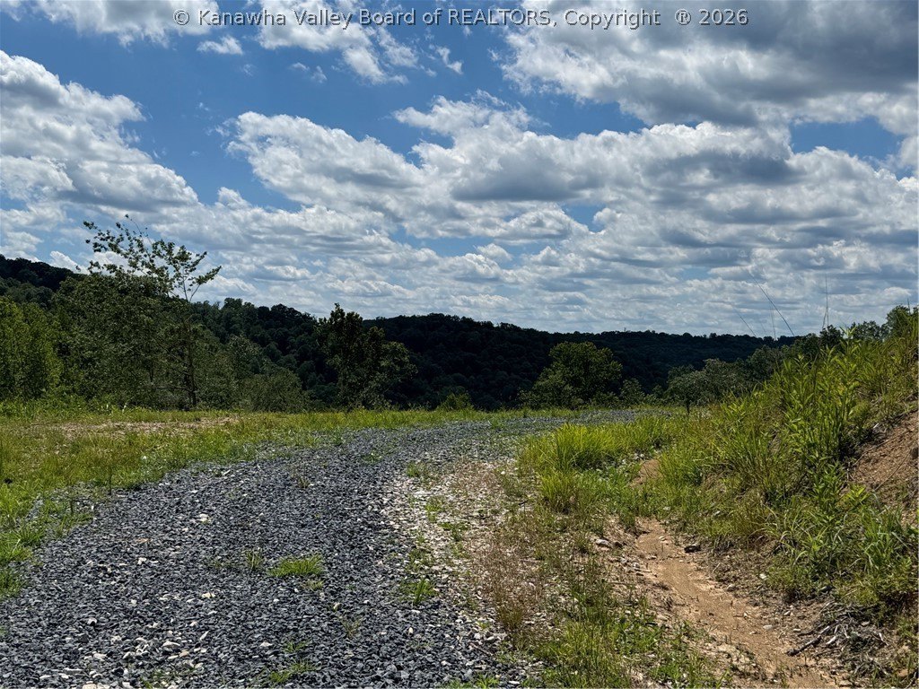 Picture 3