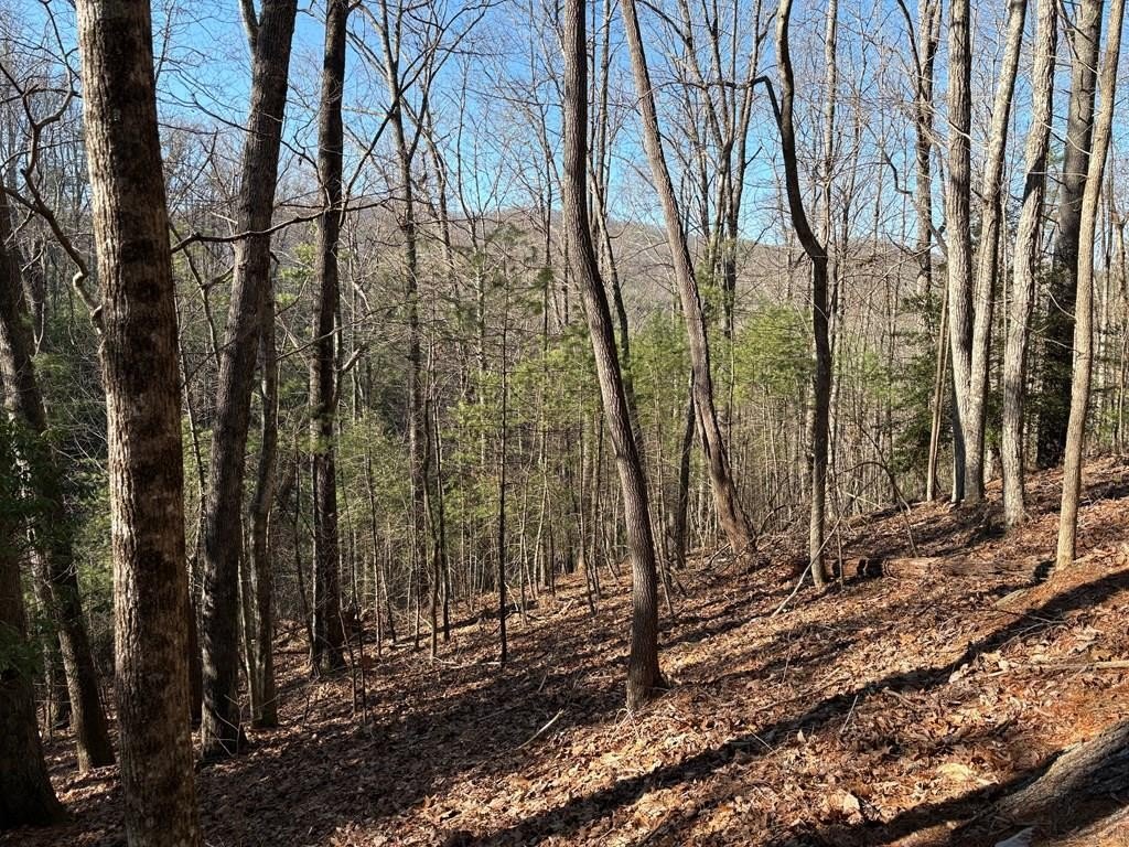 Suches, GA Vacant Lot