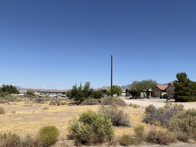 Picture 4