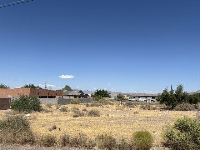 Picture 3