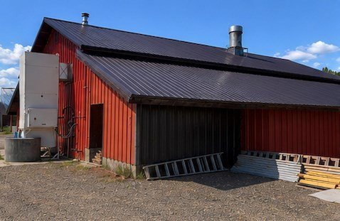 Picture 41