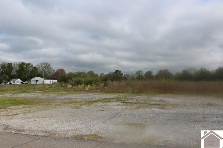 Picture 2