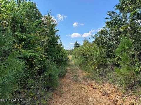 Brookhaven Homesite: 5 Acres