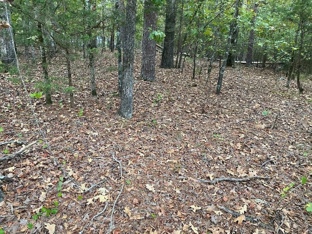 Picture 3