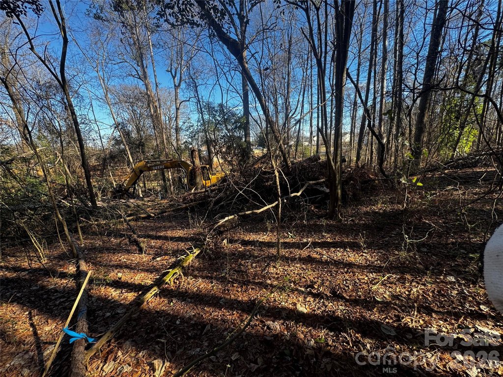 Picture 4