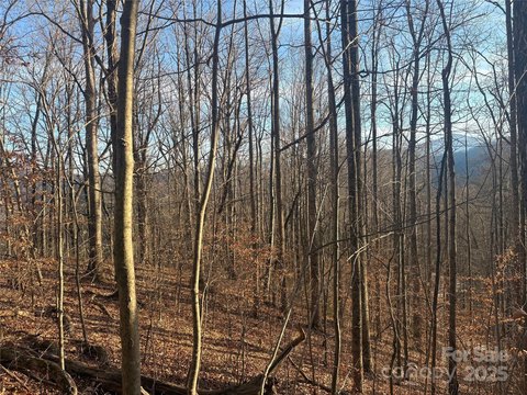 Waynesville Land with View Potential