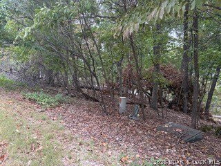 Picture 2