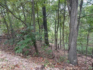 Land, Porto Cima, MO