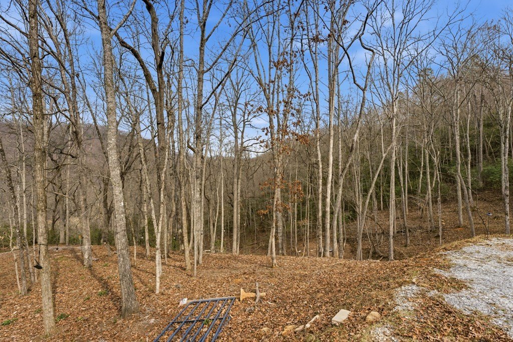Picture 19