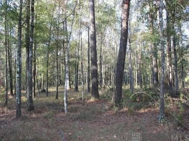 Prime Development Land in Holden, LA