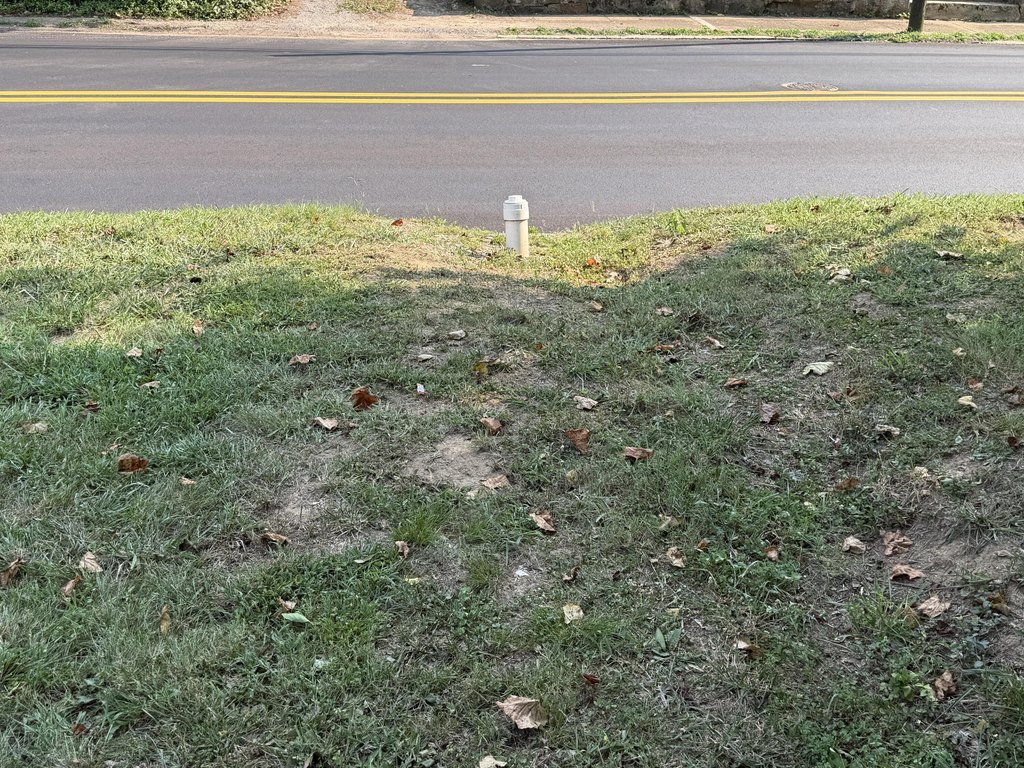 Picture 6