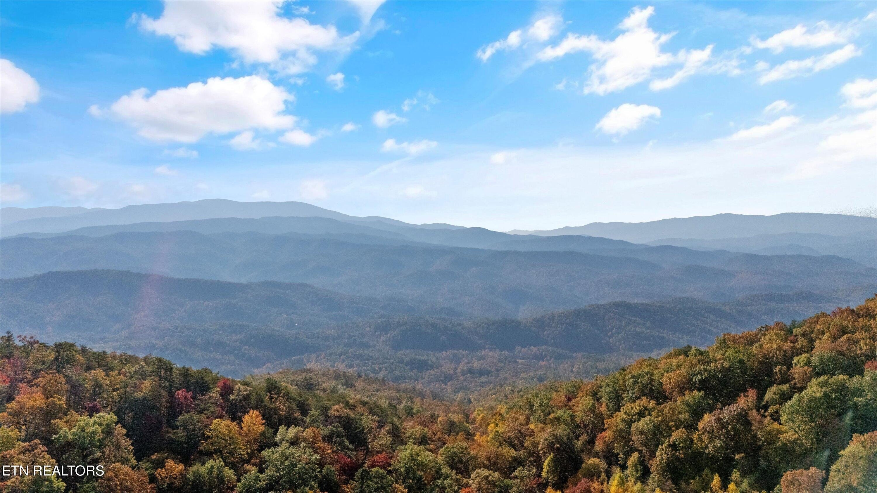 Chilhowee Mountain Land with Views