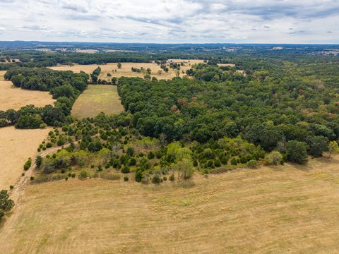 Land, Hartville, MO