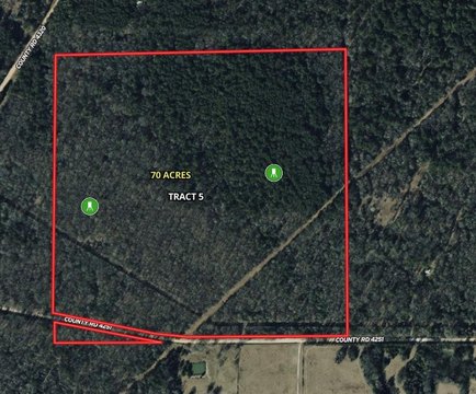 70 Acres of Timbered Land
