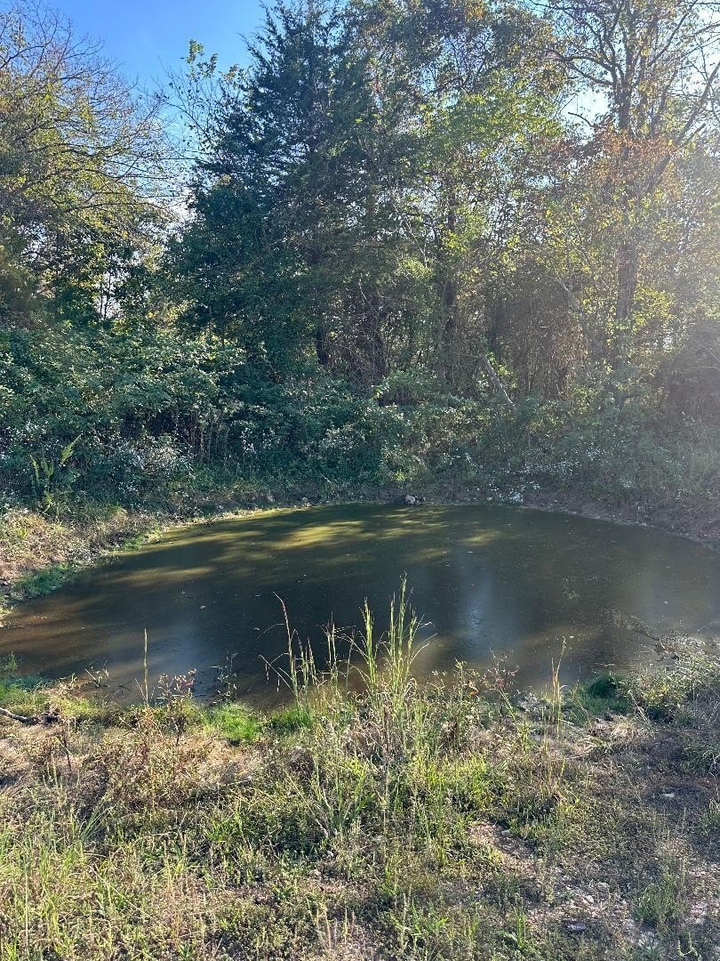 Mountain Grove Land For Sale
