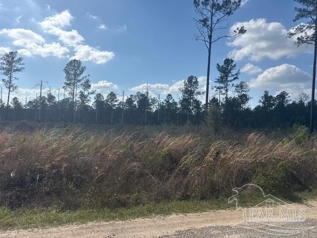 5 Acre Paradise in Milton