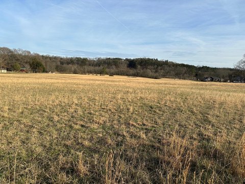 Unrestricted Land in Evensville, TN