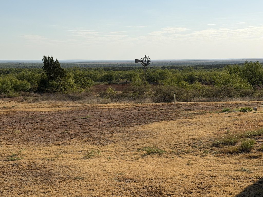 Picture 43
