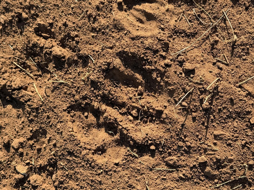Picture 45