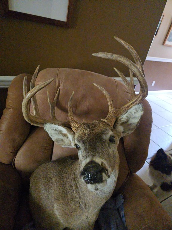 Picture 44