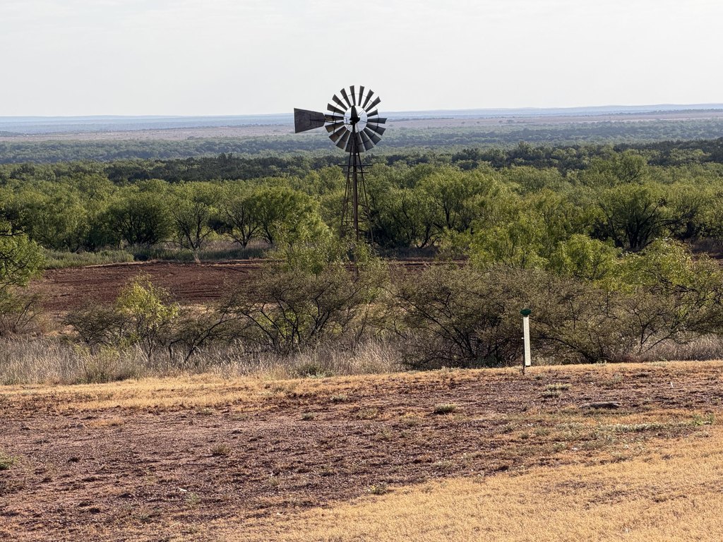 Picture 34
