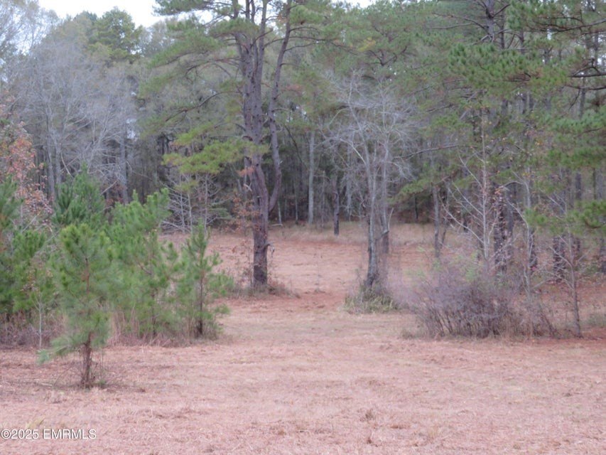 Picture 18