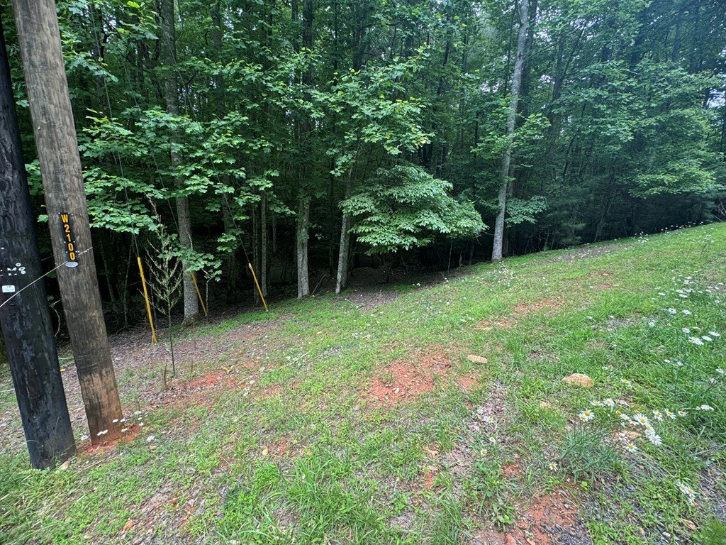 Picture 8