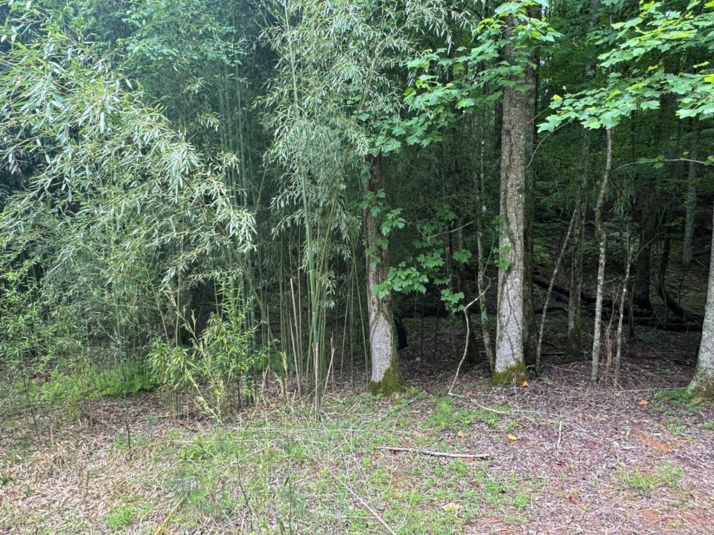 Picture 10
