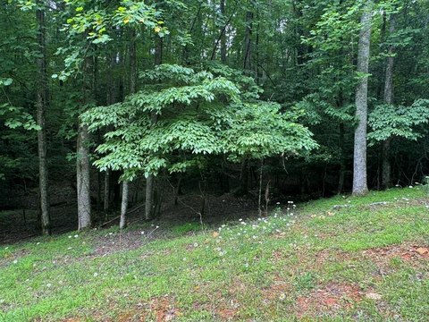 Level Waterfront Resort Lot