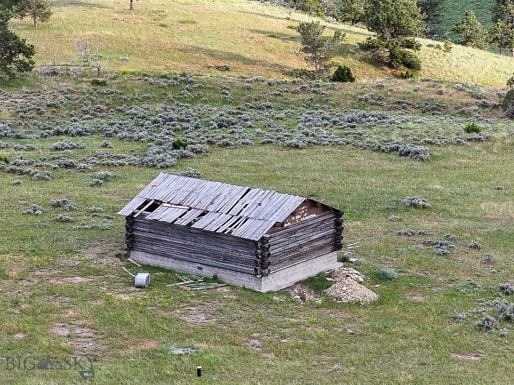 Picture 6