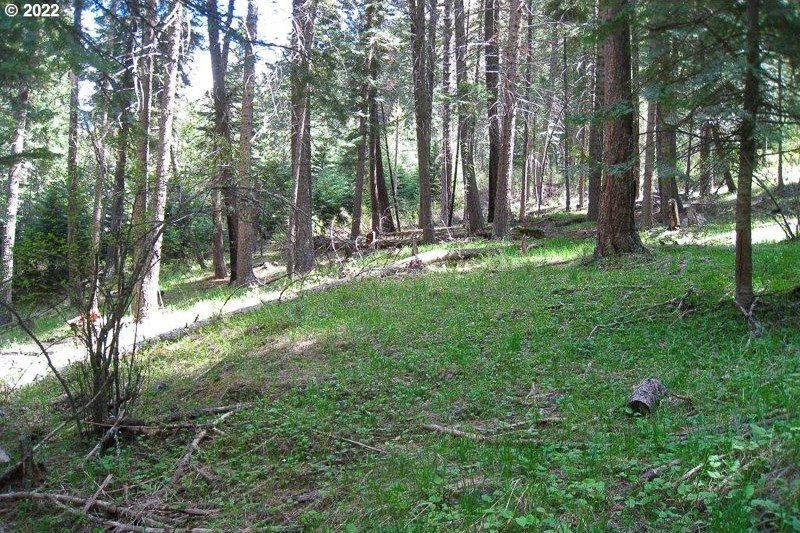 Wallowa Lake Vacant Land