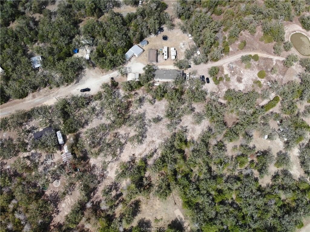Picture 23