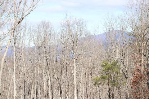LAND - Ellijay, GA