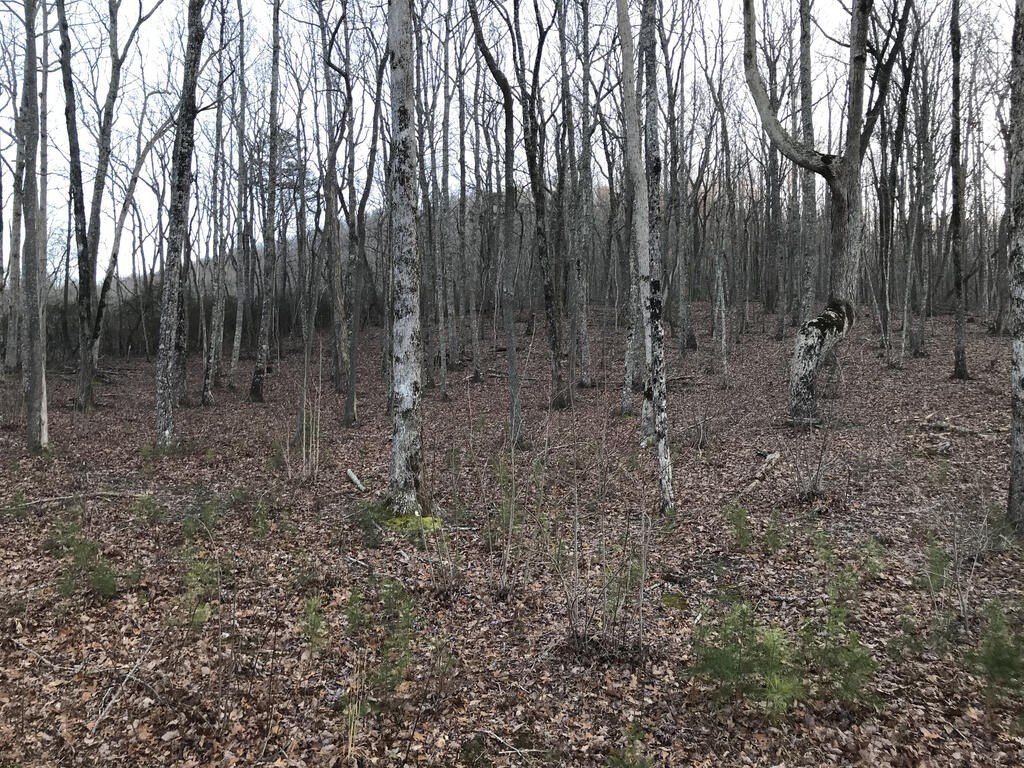 Picture 14